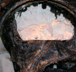 Immigrati: Don Ciotti, non umano respingere gente disperata