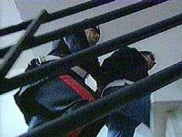 Ambiente: Noe sequestra discarica abusiva a Mondolfo