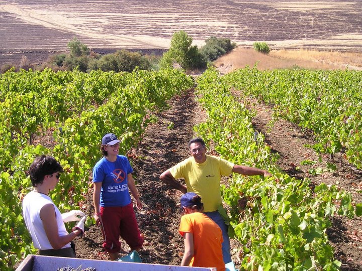 Hiram, a processo mafiosi e massoni d’Italia