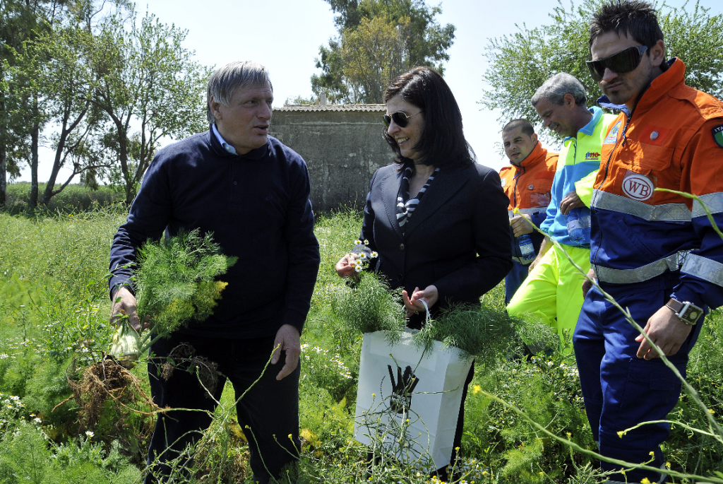 In una terra meravigliosa, la gioiosa raccolta di finocchi con don Ciotti