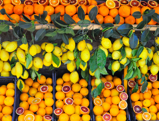 Sintesi dossier “Agrumi d’oro”