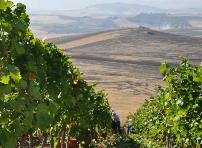 Libera la notte!(VIDEO)