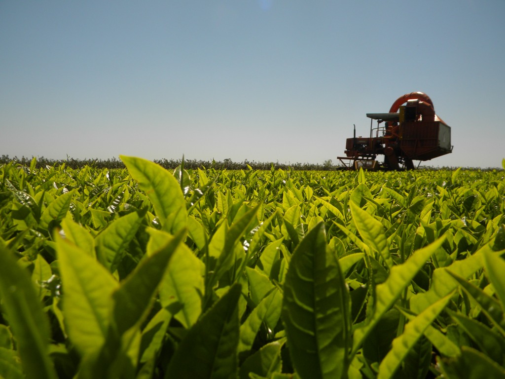 Latina, organizzazione favoriva immigrazione clandestina