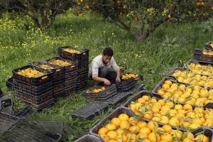 Boss alla sbarra ma lo Stato non c’è