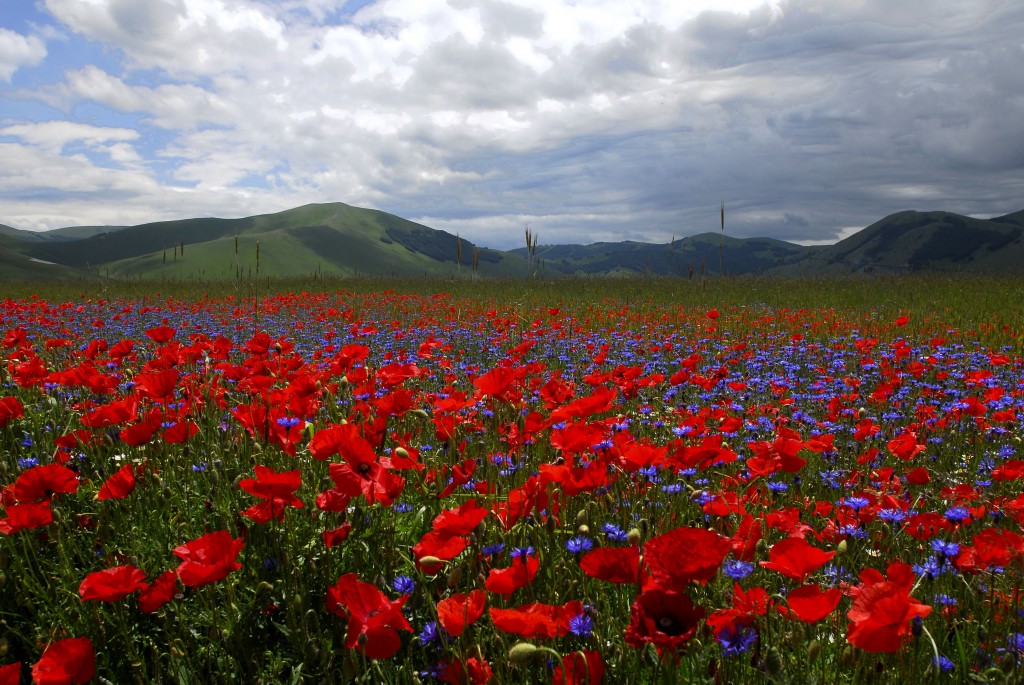 Umbria, nasce portale dell’Antimafia