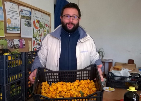 Le parole della terra