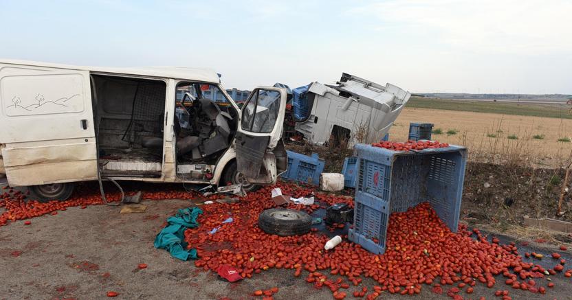 “Sfruttamento del lavoro e caporalato”, il 24 giugno un incontro promosso dall’Università di Foggia