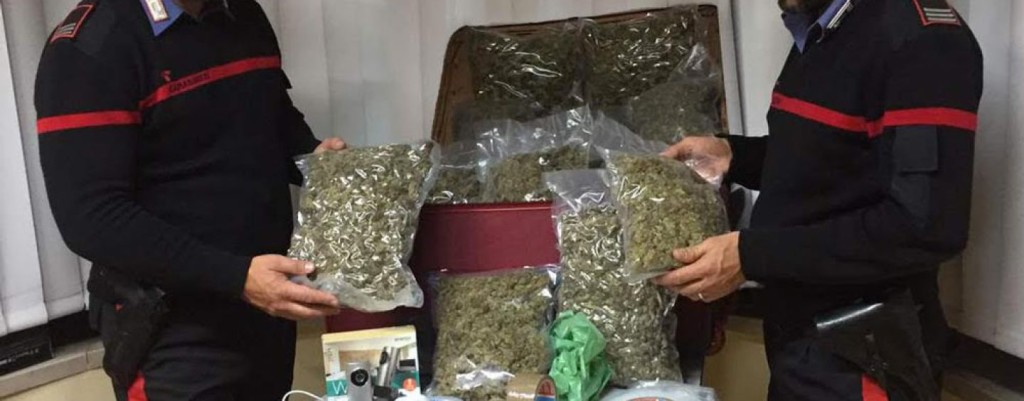 Antidroga: per il terzo anno consecutivo sequestrate oltre 100 tonnellate di stupefacenti