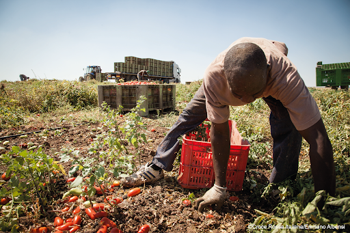 La nomina di Roberto Maroni alla presidenza della Consulta anti-caporalato è inaccettabile