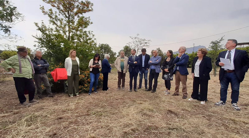 Strage di Capaci, il ricordo al Giardino della Memoria di Ciaculli, con Assostampa e Associazione nazionale magistrati