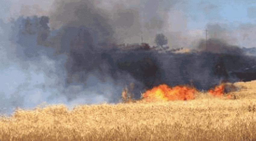 Contro le mafie che rubano speranza e futuro