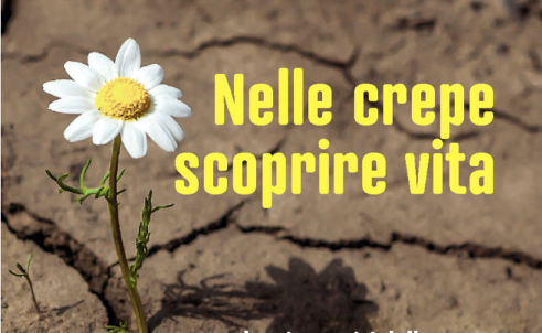 “Nelle crepe scoprire vita”, Cittadella di Assisi (PG) dal 20 al 22 ottobre 2023
