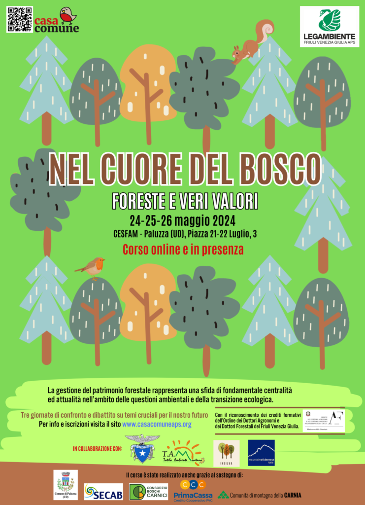 “Nel cuore del bosco”: con Casacomune alla scoperta del patrimonio e dei valori della foresta