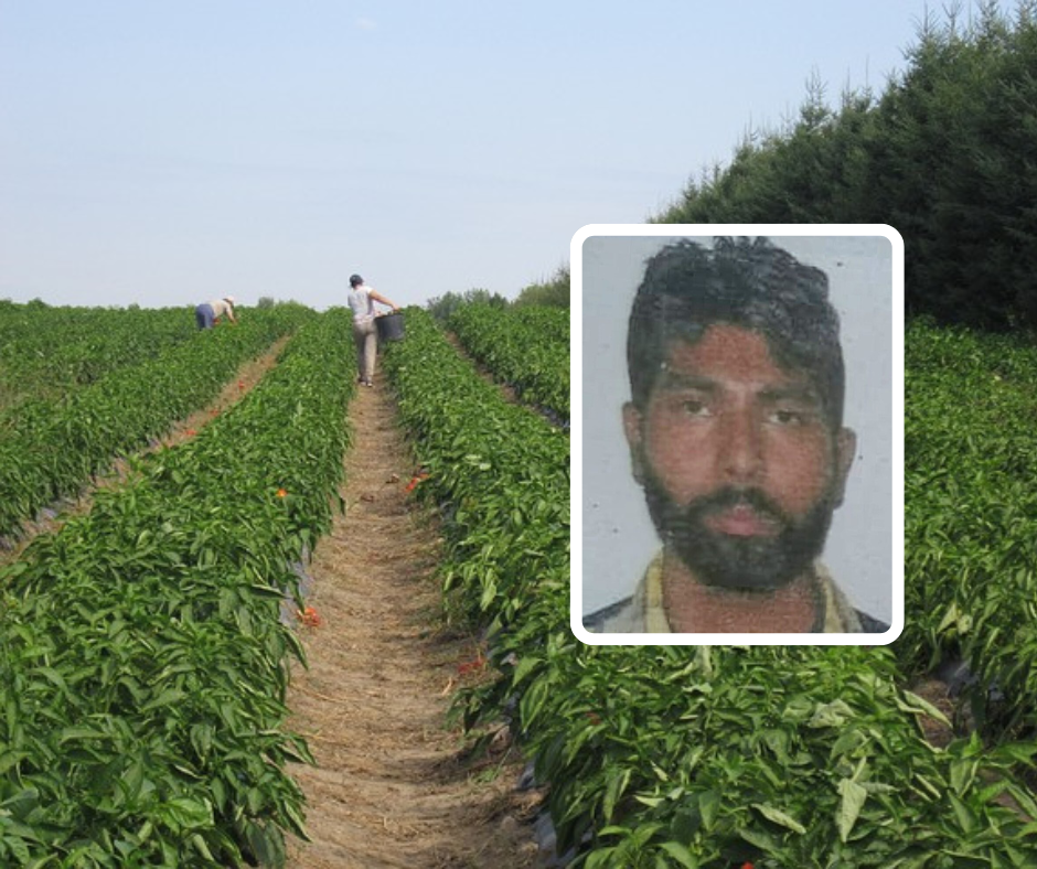 Il bracciante Singh ucciso dal cinismo e dallo sfruttamento