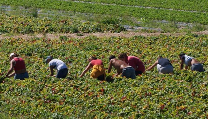 Per Satnam Singh e tutti gli altri e le altre