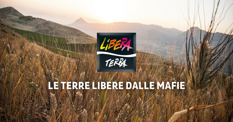 Ancora attacchi ai beni confiscati alle mafie, Libera: “Vicini alle cooperative, si colpisce chi lavora con dignità”