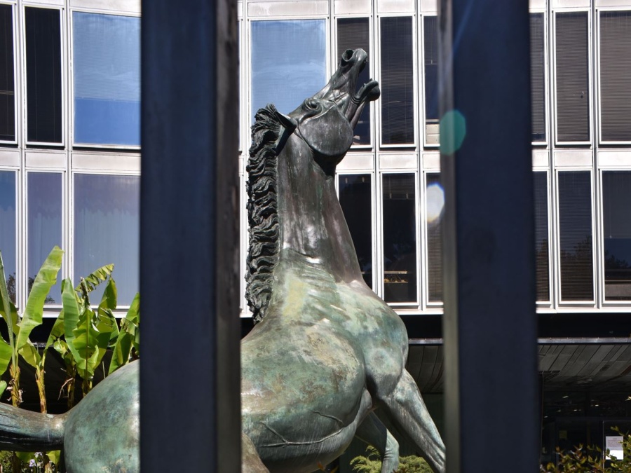 Rai, Cdr e Usigrai: «Stallo aziendale insostenibile, pronti alla mobilitazione»