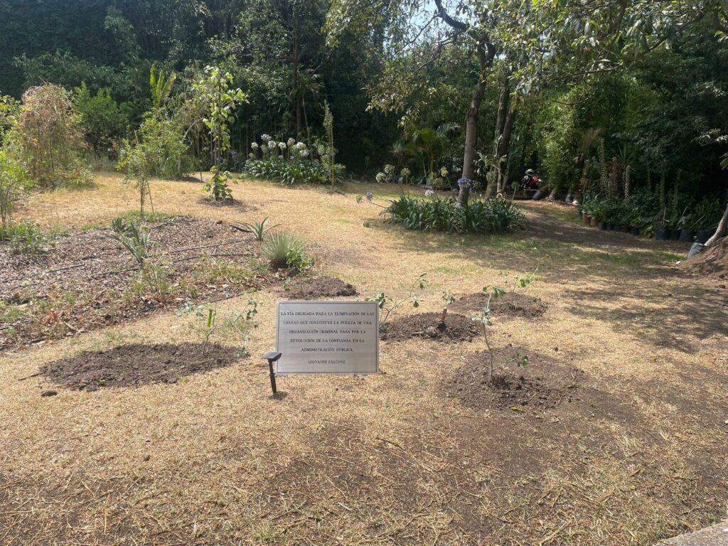 Luoghi di speranza. Alberi per celebrare i morti di Città del Messico (come Falcone)