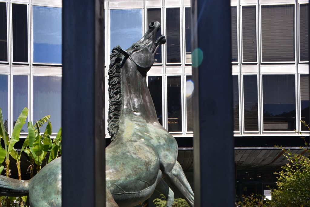 Grazie al Presidente Mattarella per il suo richiamo sulla Rai