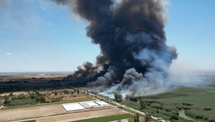 Incendi dolosi a Manfredonia (FG): “Le ecomafie tornano a colpire territori e cittadini”