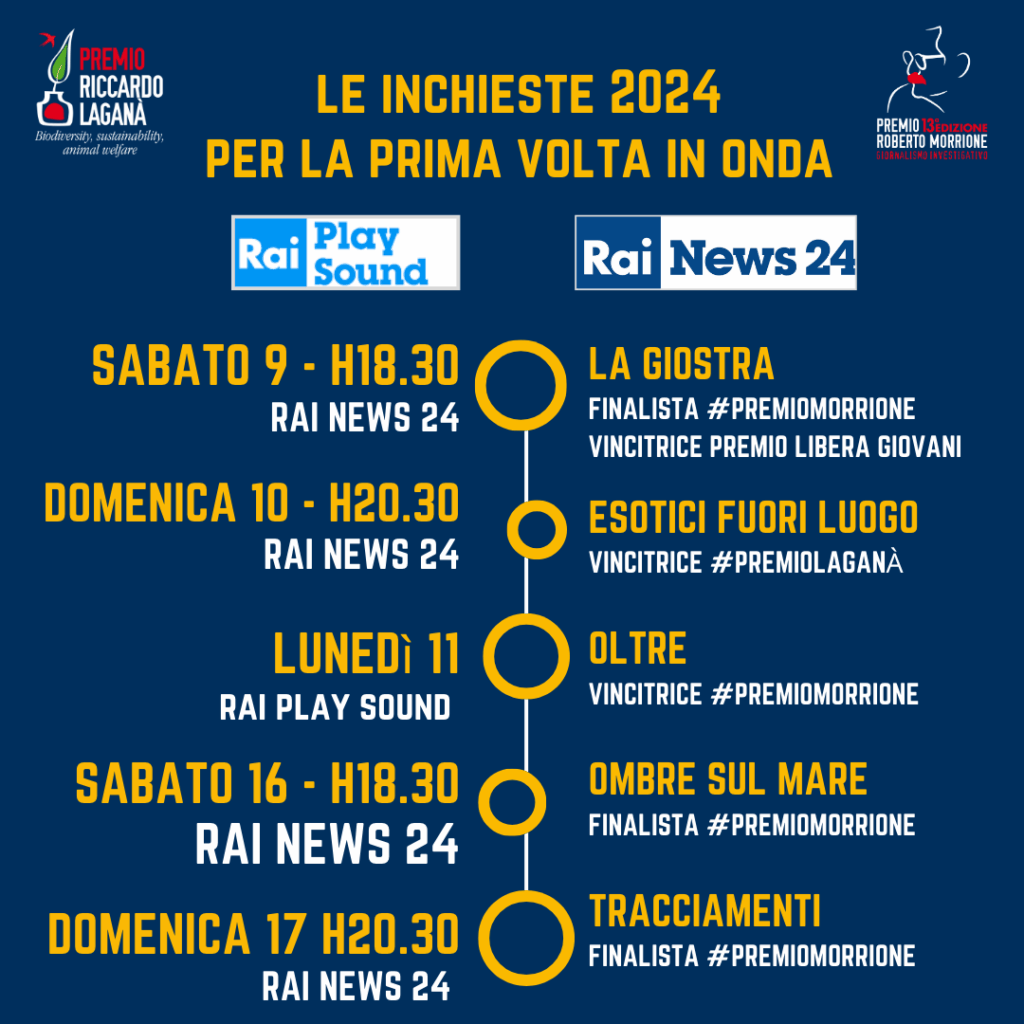 Le inchieste finaliste 2024 del Premio Roberto Morrione a RaiNews24 e RaiPlaySound